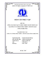 Báo cáo thực tập tốt nghiệp quản trị nhân lực: Công tác đào tạo và phát  triển nguồn nhân lực tại công ty cổ phần phát triển   chuyển giao công nghệ FTEX