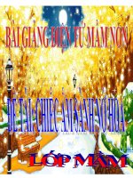 Bài giảng điện tử mầm non lớp Mầm đề tài Truyện Chiếc ấm sành nở hoa