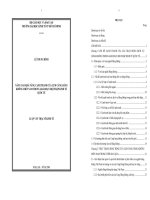 Nâng cao khả năng cạnh tranh của cụm cảng hàng không miền nam trong giai đoạn hội nhập quốc tế