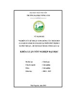 Nghiên cứu kỹ thuật ươm giống cây trám đen (canarium nigrumengler) tại thôn phú thịnh 2 – xã phú nhuận – huyện bảo thắng – tỉnh lào cai 