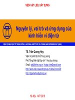 Nguyên lý, vai trò và ứng dụng của  kính hiển vi điện tử