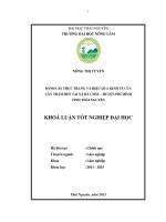 Đánh giá thực trạng và hiệu quả kinh tế của cây trám đen tại xã hà châu   huyện phú bình   tỉnh thái nguyên 