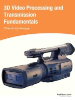 3D video processing and transmission fundamentals