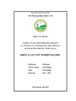 Nghiên cứu đặc điểm hình thái, sinh thái và sử dụng cây làm phẩm màu thực phẩm tại huyện mường khương tỉnh lào cai 