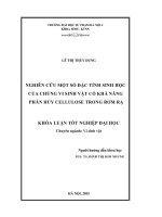 Nghiên cứu một số đặc tính sinh học của chủng vi sinh vật có khả năng phân hủy cellulose trong rơm rạ 