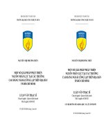 Một số giải pháp phát triển nguồn nhân lực tại các trường cao đẳng ngoài công lập trên đại bàn thành phố Hồ Chí Minh