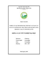 Nghiên cứu đặc điểm hình thái, sinh thái và sử dụng các loài cây làm phẩm mầu thực phẩm tại huyện phú lương, định hóa và đại từ tỉnh thái nguyên 