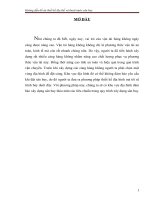 Hướng dẫn ĐA thiết kế địa hình và thoát nước sân bay