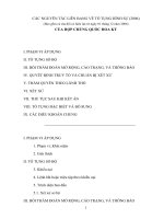 Các nguyên tắc liêng bang trong tố tụng hình sự Hoa Kỳ