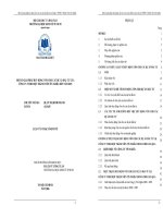 Một số giải pháp huy động vốn cho các dự án đầu tư tại công ty TNHH Một Thành Viên Tín Nghĩa đến năm 2015