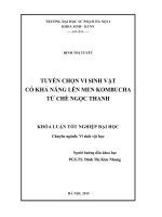 Tuyển chọn vi sinh vật có khả năng lên men kombucha từ chè ngọc thanh 