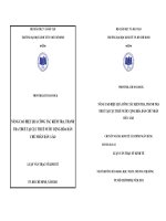 Nâng cao hiệu quả công tác kiểm tra, thanh tra thuế tại cục thuế nước CHDCND Lào