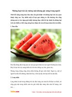 Những thực phẩm tưởng mát nhưng gây nóng trong người