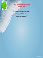 Giới trong phát triển nông thôn