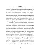 Tiểu luận cấu trúc quần xã động vật phù du trong vịnh bình cang   nha trang và sự vận chuyển cacbon và nito từ thực vật sang động vật phù du 