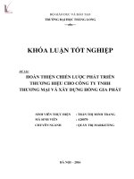 Hoàn thiện chiến lược phát triển thương hiệu cho công ty TNHH thương mại và xây dựng hồng gia phát 