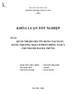 Quản trị rủi ro tín dụng doanh nghiệp tại ngân hàng thương mại cổ phần đông nam á   chi nhánh hai bà trưng 
