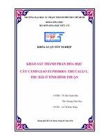 Khảo sát thành phần hóa học cây cành giao euphorbia tirucalli l  thu hái ở tỉnh bình thuận 