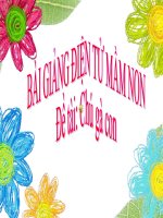 Bài giảng điện tử mầm non lớp Mầm đề tài Thơ chú gà con