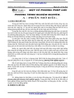 SKKN: giải phương trình nghiệm nguyên THCS