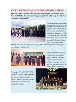 VIỆT NAM TRONG QUÁ TRÌNH hội NHẬP ASEAN