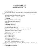 Giáo án đề tài Nhổ củ cải (lớp mầm)