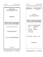 NGHIÊN CỨU ẢNH HỞNG CỦA CHẾ ĐỘ KHUẤY ĐẾN CHẤT LỢNG MẠ COMPOSITE CHROME