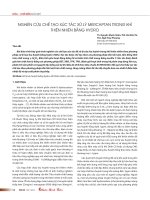 NGHIÊN CỨU CHẾ TẠO XÚC TÁC XỬ LÍ MERCAPTAN TRONG KHÍ THIÊN NHIÊN BẰNG HIDRO