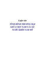 Đề tài tình hình thương mại giữa Việt Nam và các nước khối Nam Mỹ