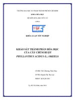 Khảo sát thành phần hóa học của cây chùm ruột phyllanthus acidus (l ) skeels 