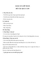Giáo án đề tài Quả Cam (lớp mầm)