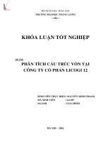 Phân tích cấu trúc vốn tại công ty cổ phần LICOGI 12 