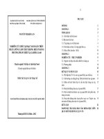 Nghiên cứu chế tạo bạc nano gắn trên Silica dùng làm chất kháng khuẩn bằng phương pháp chiếu xạ Gamma Co60