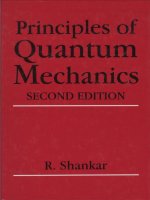 rama murtish ankar principles of quantum mechanic book