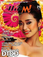 e ChipMOBILE 213 tapchitinhoc info