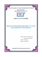 KHẢO sát THÀNH PHẦN hóa học của LOÀI nấm 