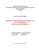 KHẢO sát THÀNH PHẦN hóa học của lá cây ME RỪNG 