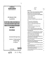 Nâng cao năng lực hoạt động của hiệp hội ngành hàng nhằm đẩy mạnh xuất khẩu hàng hoá của Việt Nam trong bối cảnh hội nhập Kinh tế quốc tế