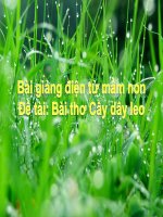 Bài giảng điện tử mầm non lớp Chồi đề tài Thơ cây dây leo