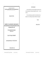 Nghiên cứu giải pháp phát triển nông thôn huyện Võ Nhai tỉnh Thái Nguyên giai đoạn 20112015
