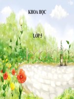 AN TOÀN và TRÁNH LÃNG PHÍ KHI sử DỤNG điện