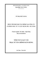 Phân tích rủi ro tài chính tại công ty cổ phần đầu tư và xây dựng 501  đà nẵng