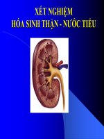 XÉT NGHIỆM HÓA SINH THẬN - NƯỚC TIỂU