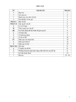 skkn sử dụng di sản văn hóa địa phương và việc đổi mới hình thức tổ chức dạy học môn địa lí 8 