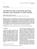 An empirical study on measuring operating efficiency and profitability of bank branches 10 10160377 2217(90)90002 s