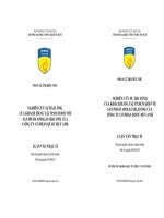 Nghiên cứu sự hài lòng của khách hàng tại thành phố Hồ Chí Minh đối với sản phẩm Apollo Silicone của công ty cổ phần Quốc Huy Anh