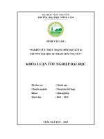 Nghiên cứu thực trạng mối hại gỗ tại trường đại học sư phạm thái nguyên