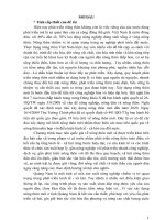 Xây dựng nông thôn mới trên địa bàn tỉnh quảng nam, thực trạng và giải pháp