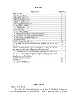 skkn đổi mới phương pháp dạy học địa lí địa phương theo hướng xây dựng chủ đề tích hợp gắn với di sản văn hóa và hình thức trải nghiệm sáng tạo 