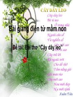 Bài giảng điện tử mầm non lớp Chồi đề tài Thơ cây dây leo